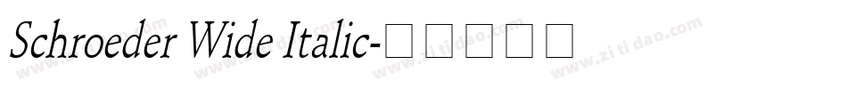Schroeder Wide Italic字体转换